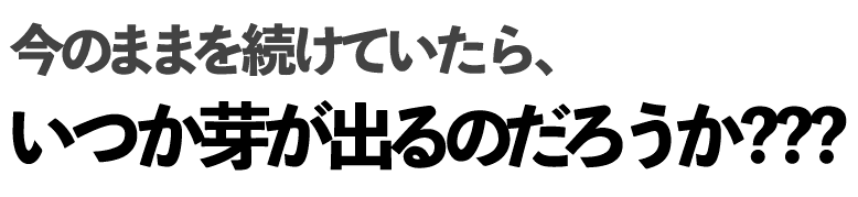 今のままを続けていたら、いつか芽が出るのだろうか???